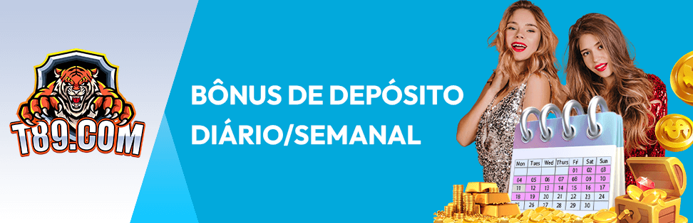 bingos jogos de cassino gratis